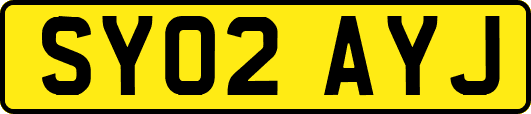 SY02AYJ