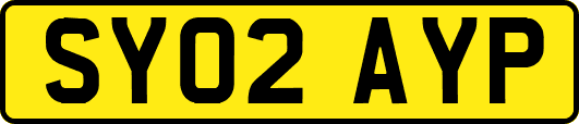 SY02AYP