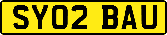 SY02BAU