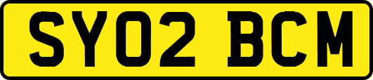 SY02BCM