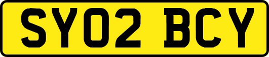 SY02BCY