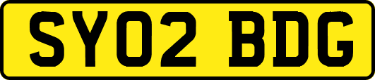 SY02BDG
