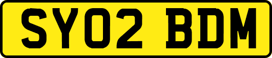 SY02BDM