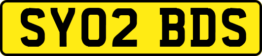 SY02BDS