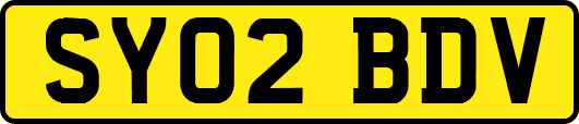 SY02BDV