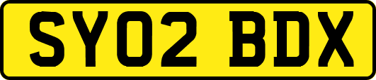 SY02BDX