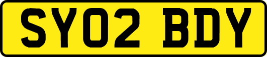 SY02BDY