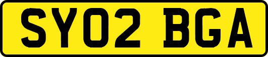 SY02BGA