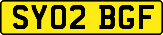 SY02BGF