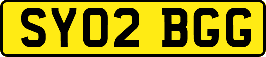 SY02BGG