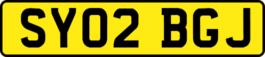 SY02BGJ