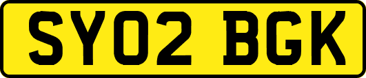 SY02BGK
