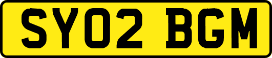 SY02BGM