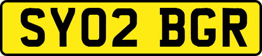 SY02BGR