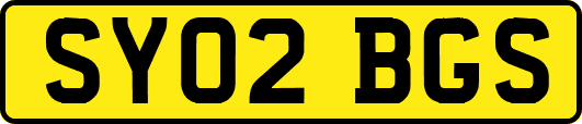 SY02BGS