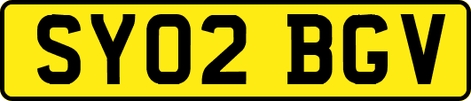 SY02BGV