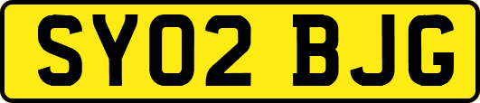 SY02BJG