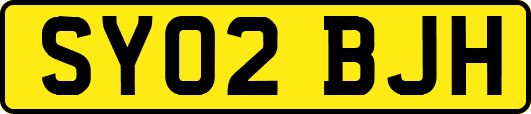 SY02BJH