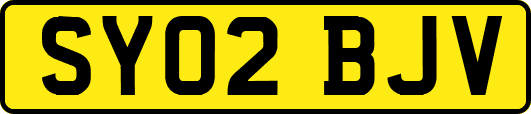 SY02BJV