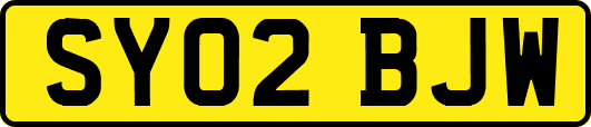 SY02BJW