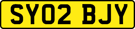 SY02BJY
