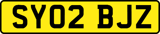 SY02BJZ