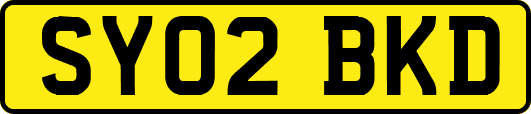 SY02BKD