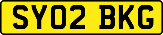 SY02BKG