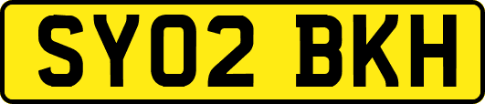 SY02BKH