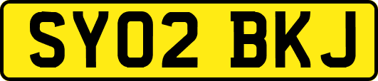 SY02BKJ