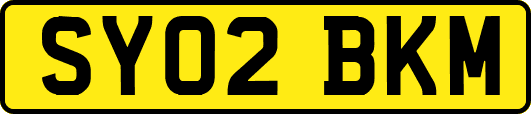 SY02BKM