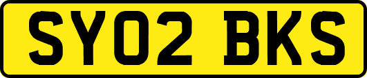SY02BKS
