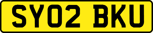 SY02BKU
