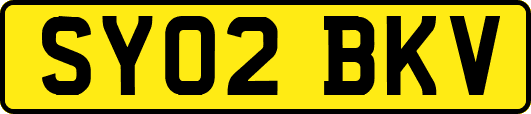 SY02BKV