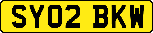 SY02BKW