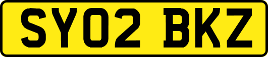 SY02BKZ