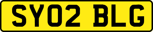SY02BLG