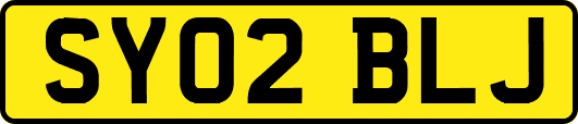 SY02BLJ