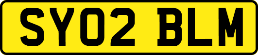 SY02BLM