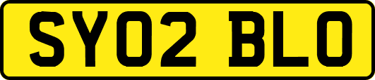 SY02BLO