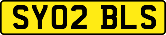 SY02BLS