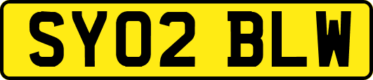 SY02BLW
