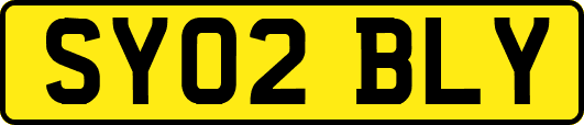 SY02BLY