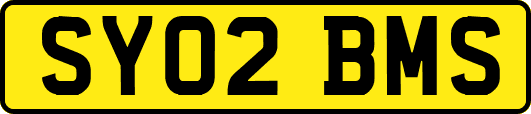 SY02BMS