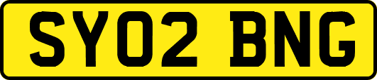 SY02BNG