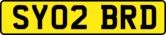 SY02BRD