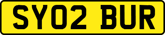 SY02BUR