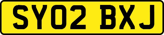 SY02BXJ