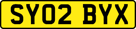 SY02BYX