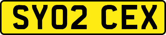 SY02CEX